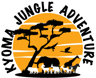 KYOMA JUNGLE ADVENTURE