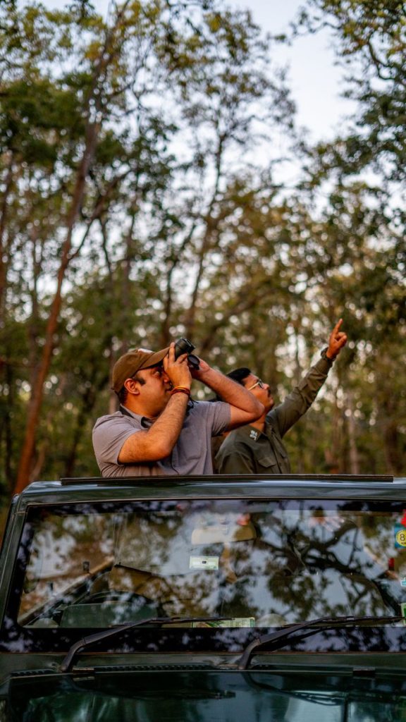 Adventurous wildlife safari in Indian forest with tourists observing nature.